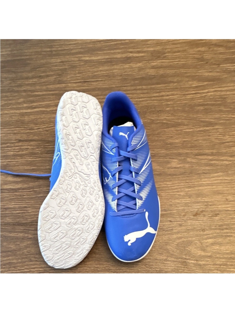 Puma Royal Blue Kids Indoor Sneakers with White Puma Logo
